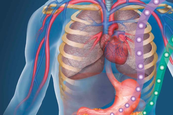 Aggiornamenti clinici in medicina interna